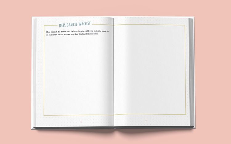 Produktbild: Das andere Schwangerschaftstagebuch (Punkte-Edition)