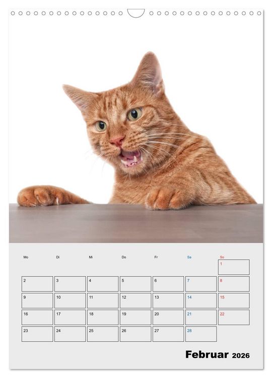 Produktbild: Crazy Catz. (Wandkalender 2026 DIN A3 hoch), CALVENDO Monatskalender