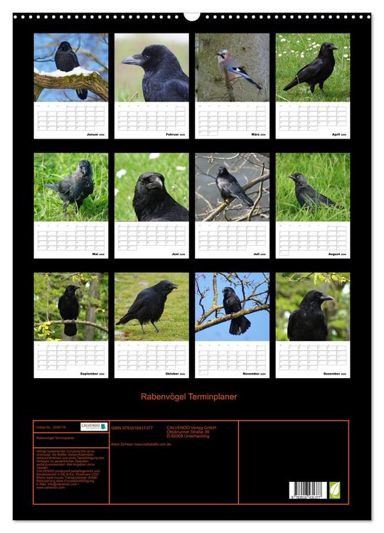 Produktbild: Rabenv&ouml;gel Terminplaner (Wandkalender 2026 DIN A2 hoch), CALVENDO Monatskalender