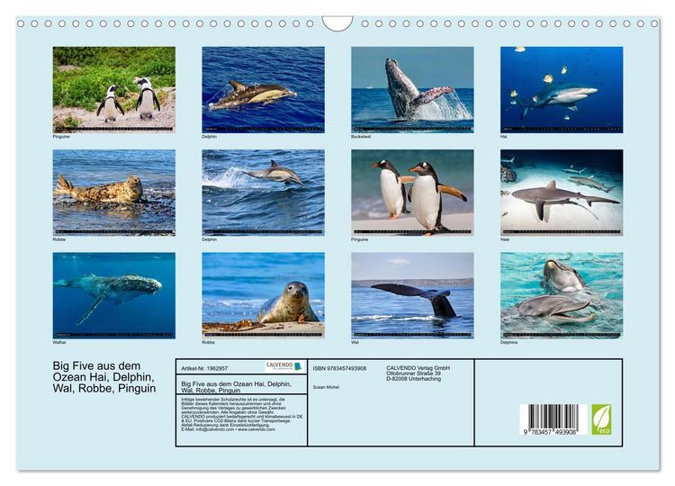 Produktbild: Big Five aus dem Ozean Hai, Delphin, Wal, Robbe, Pinguin (Wandkalender 2026 DIN A3 quer), CALVENDO Monatskalender