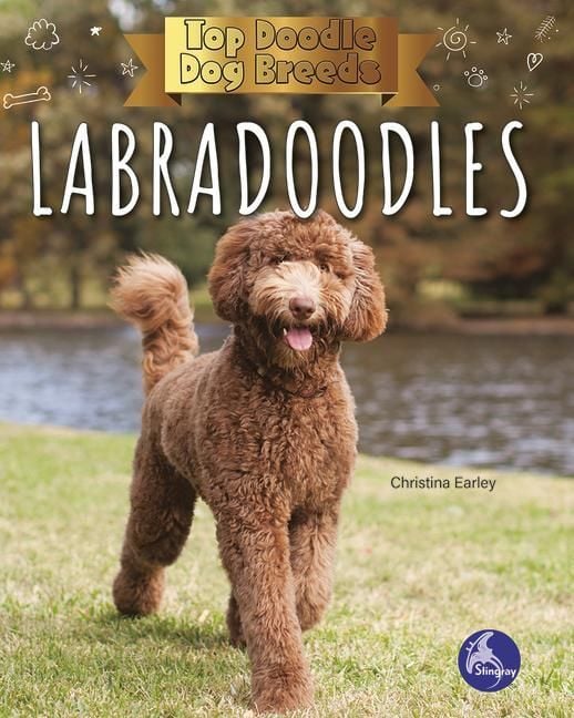 Produktbild: Labradoodles