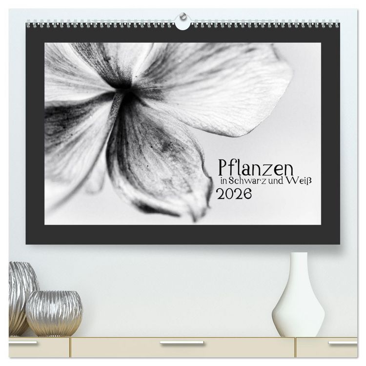 Produktbild: Pflanzen in Schwarz und Wei&szlig; (hochwertiger Premium Wandkalender 2026 DIN A2 quer), Kunstdruck in Hochglanz