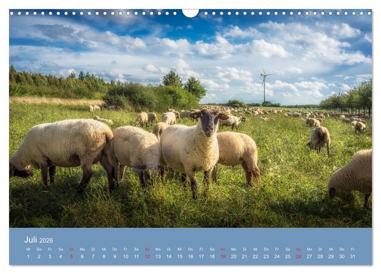 Produktbild: Kronsberg Hannover (Wandkalender 2026 DIN A3 quer), CALVENDO Monatskalender