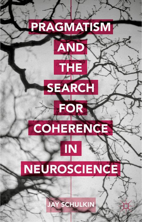 Produktbild: Pragmatism and the Search for Coherence in Neuroscience