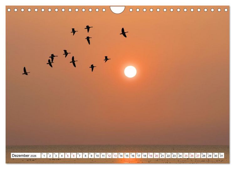 Produktbild: GREETSIEL - Schafe - Krabbenkutter - M&ouml;wen (Wandkalender 2026 DIN A4 quer), CALVENDO Monatskalender