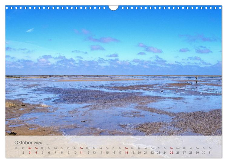 Produktbild: Salzwiesen, Schafe und Watt - Westerhever, ein Naturparadies an der Nordsee (Wandkalender 2026 DIN A3 quer), CALVENDO Monatskalender