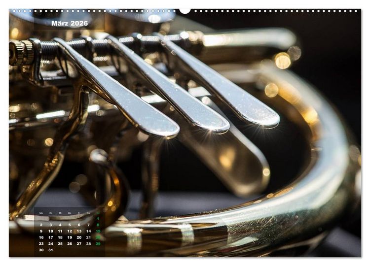 Produktbild: Das Horn, ein herrliches Instrument (hochwertiger Premium Wandkalender 2026 DIN A2 quer), Kunstdruck in Hochglanz