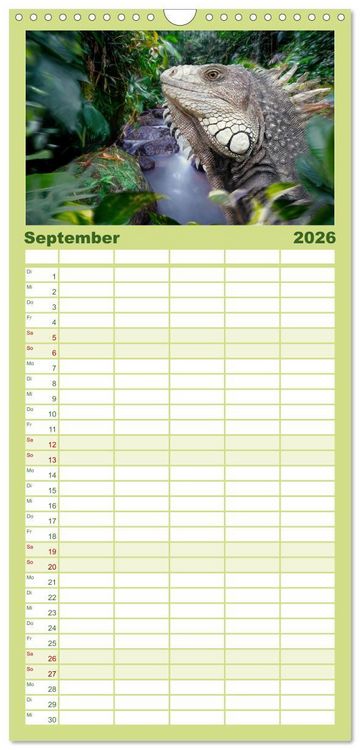 Produktbild: Familienplaner 2026 - Hallo Dschungel - Artwork mit 5 Spalten (Wandkalender, 21 x 45 cm) CALVENDO