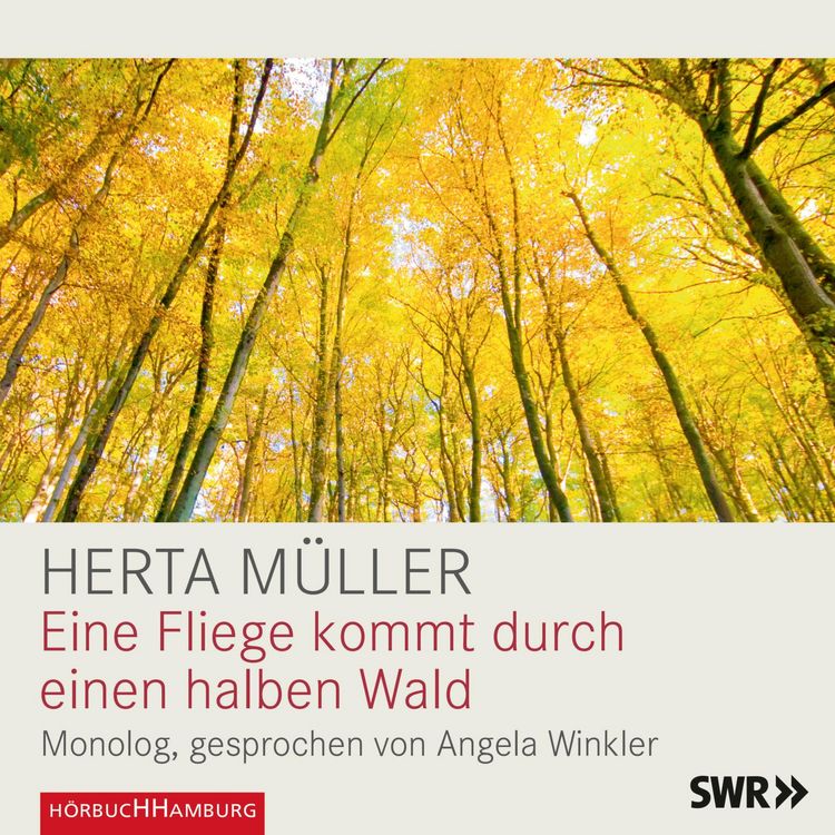 Produktbild: Eine Fliege kommt durch einen halben Wald