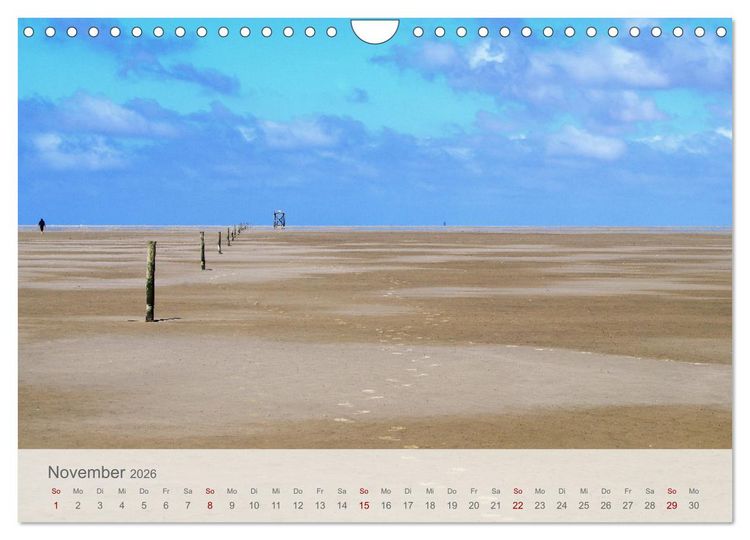 Produktbild: Salzwiesen, Schafe und Watt - Westerhever, ein Naturparadies an der Nordsee (Wandkalender 2026 DIN A4 quer), CALVENDO Monatskalender