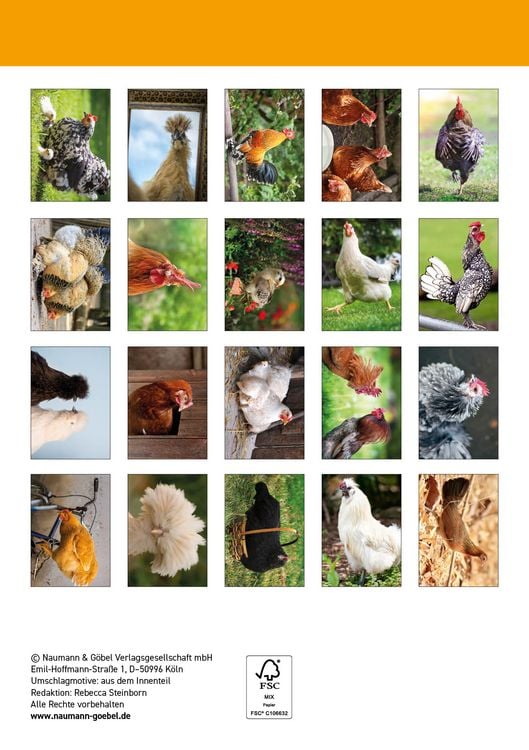 Produktbild: Postkartenblock H&uuml;hner