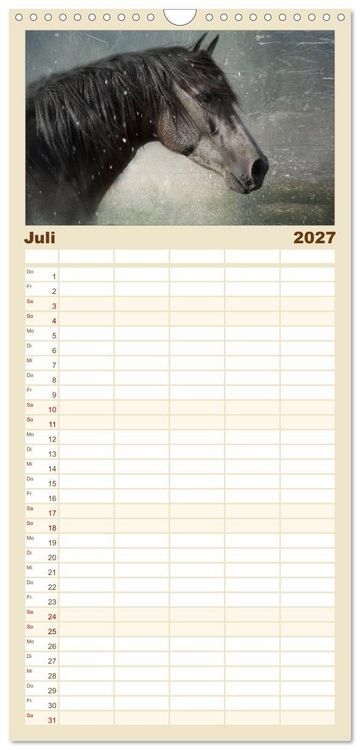 Produktbild: Familienplaner 2027 - Pferde zum Tr&auml;umen mit 5 Spalten (Wandkalender, 21 x 45 cm) CALVENDO