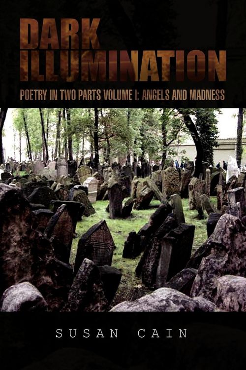 Produktbild: Dark Illumination