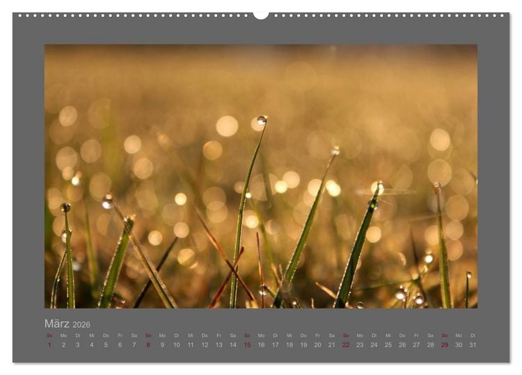Produktbild: Kleine, gro&szlig;e Tropfenwelt (hochwertiger Premium Wandkalender 2026 DIN A2 quer), Kunstdruck in Hochglanz