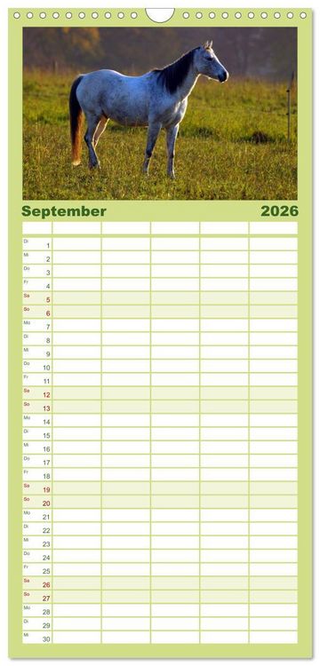 Produktbild: Familienplaner 2026 - Faszination Pferde mit 5 Spalten (Wandkalender, 21 x 45 cm) CALVENDO