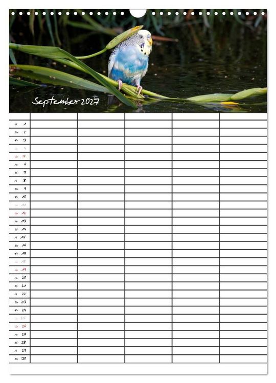 Produktbild: Wellensittiche (Wandkalender 2027 DIN A3 hoch), CALVENDO Monatskalender