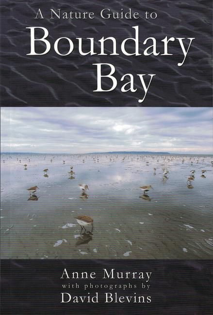 Produktbild: A Nature Guide to Boundary Bay
