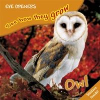 Produktbild: Owl
