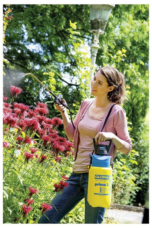 Gloria Haus und Garten 000910.0000 AutoPump Set Akku-Drucksprüher 5l kaufen