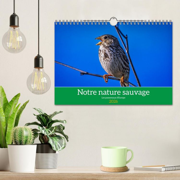 Produktbild: Notre nature sauvage, les passereaux d'Europe (Calendrier mural 2026 DIN A4 vertical), CALVENDO calendrier mensuel