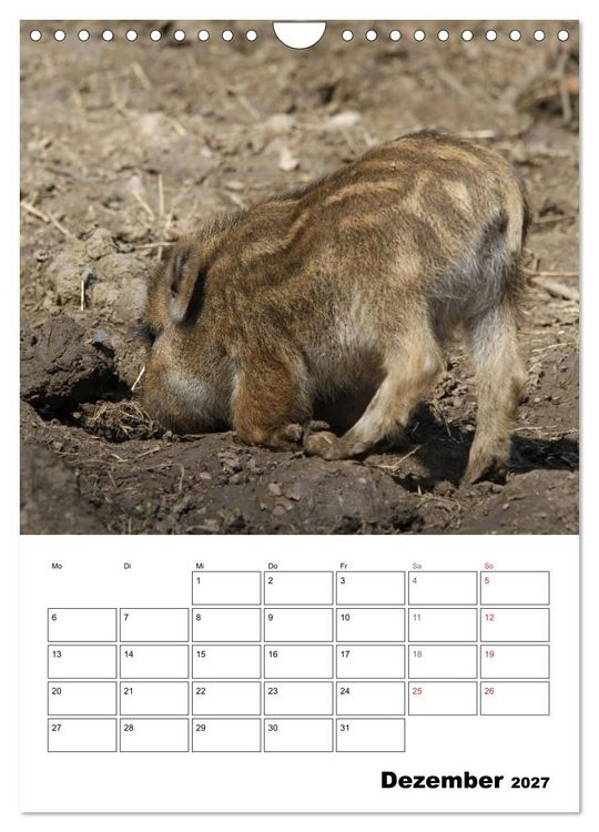 Produktbild: Der wildschweinische Terminplaner (Wandkalender 2027 DIN A4 hoch), CALVENDO Monatskalender