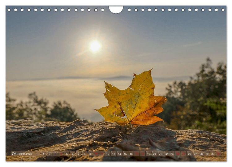 Produktbild: Dordogne Mon Amour (Wandkalender 2026 DIN A4 quer), CALVENDO Monatskalender
