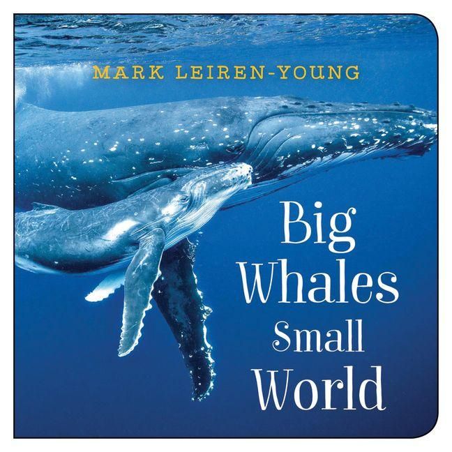 Produktbild: Big Whales, Small World