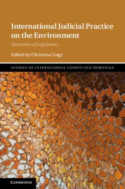 Produktbild: International Judicial Practice on the Environment