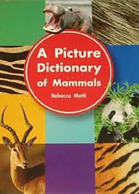 Produktbild: A Picture Dictionary of Mammals: Big Book Grade K