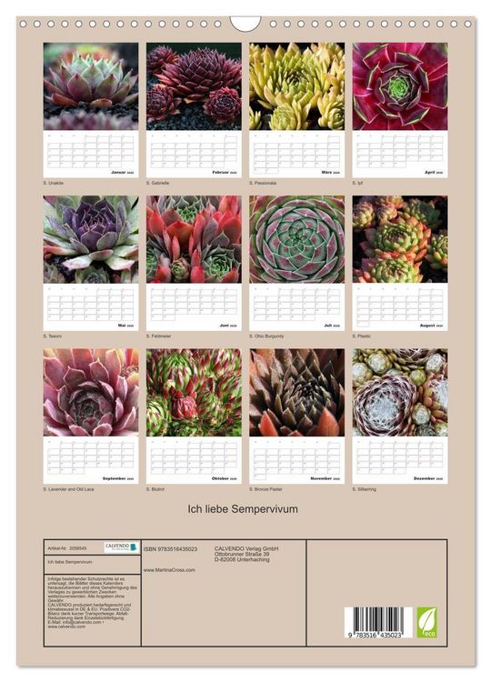 Produktbild: Ich liebe Sempervivum (Wandkalender 2026 DIN A3 hoch), CALVENDO Monatskalender