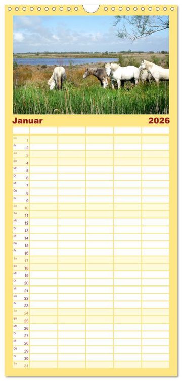 Produktbild: Familienplaner 2026 - Provence. Licht und Lebensfreude mit 5 Spalten (Wandkalender, 21 x 45 cm) CALVENDO