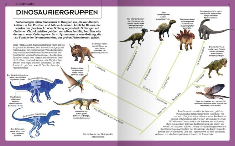 Produktbild: Das gro&szlig;e Dinosaurierbuch