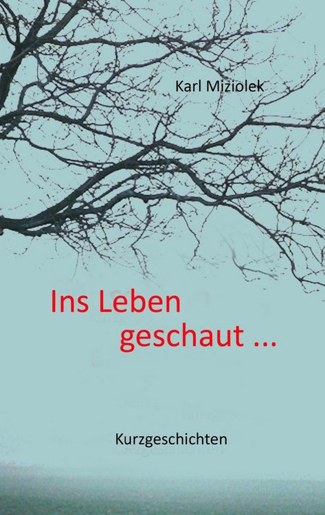 Produktbild: Ins Leben geschaut ...