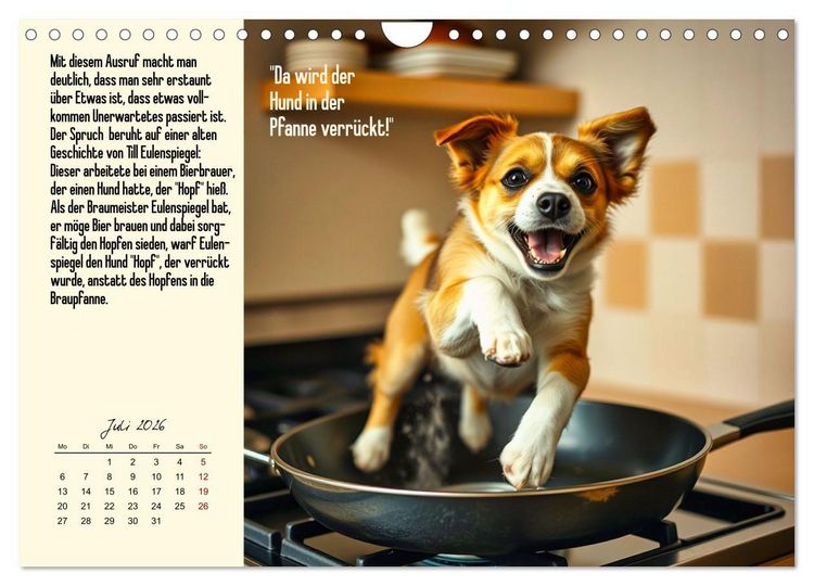 Produktbild: Illustrierte deutsche Redewendungen mit ihrer Bedeutung (Wandkalender 2026 DIN A4 quer), CALVENDO Monatskalender