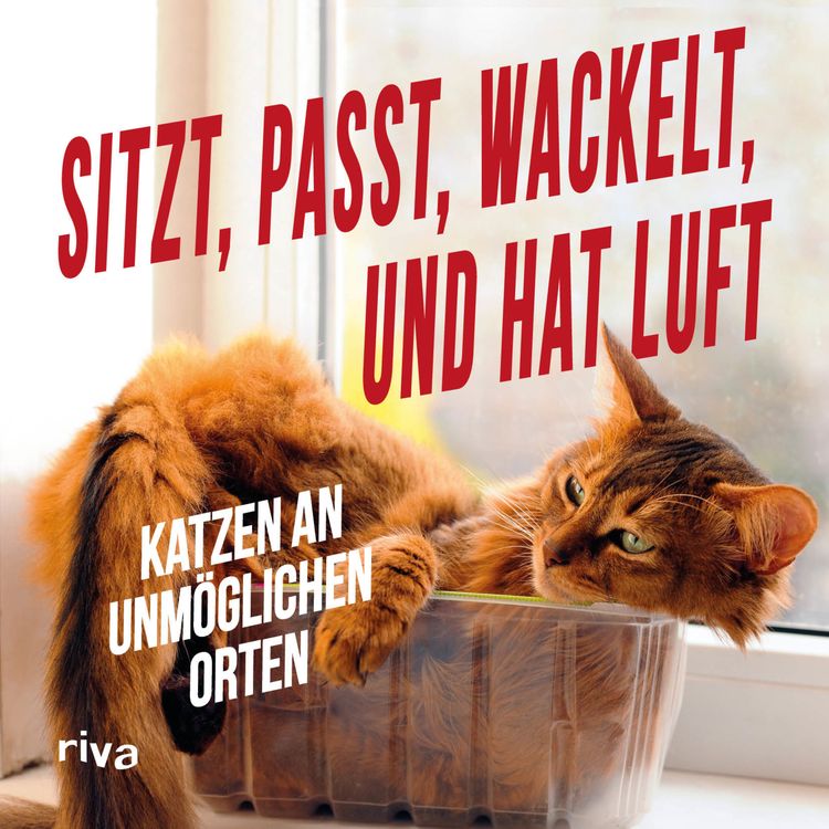 Produktbild: Sitzt, passt, wackelt und hat Luft