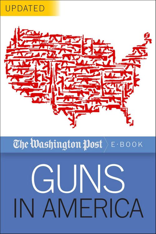 Produktbild: Guns in America