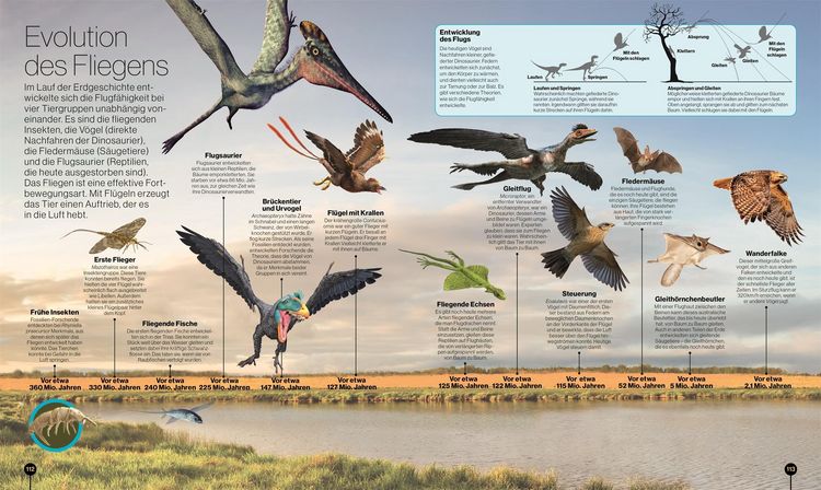 Produktbild: Reise durch die Natur
