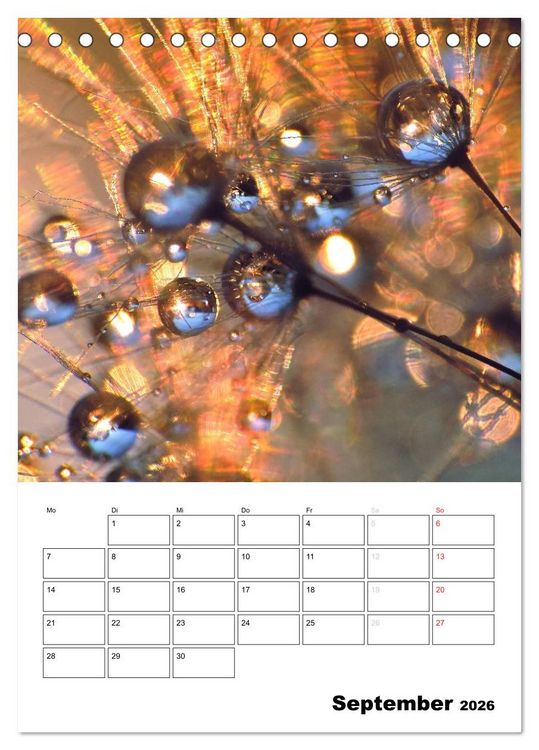 Produktbild: Pusteblumentraum - Dreams of Dandelion (Tischkalender 2026 DIN A5 hoch), CALVENDO Monatskalender