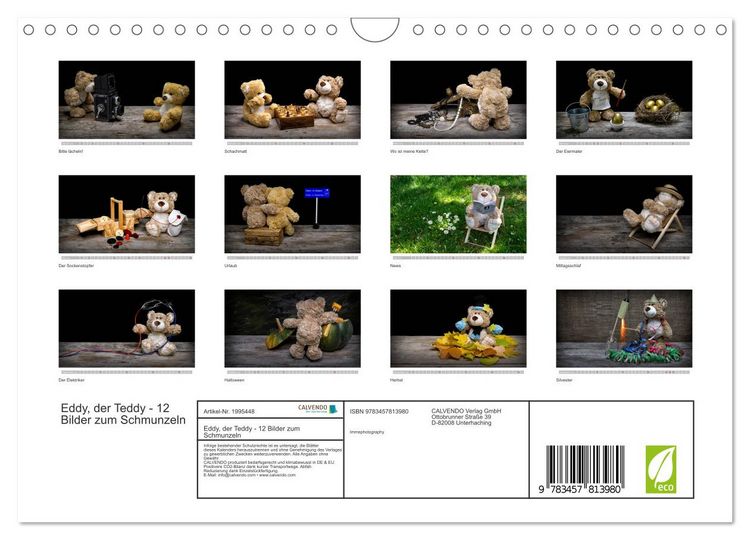 Produktbild: Eddy, der Teddy - 12 Bilder zum Schmunzeln (Wandkalender 2026 DIN A4 quer), CALVENDO Monatskalender
