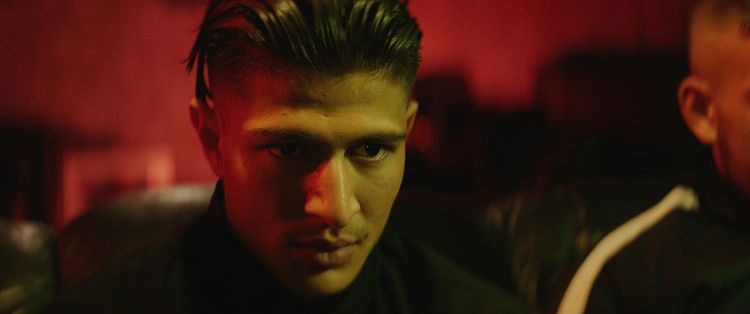 Produktbild: Sons of Denmark - Bruderschaft des Terrors