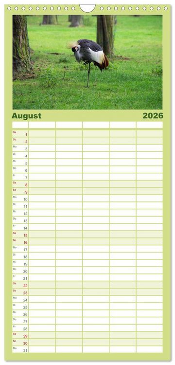 Produktbild: Familienplaner 2026 - Welt der Tiere mit 5 Spalten (Wandkalender, 21 x 45 cm) CALVENDO