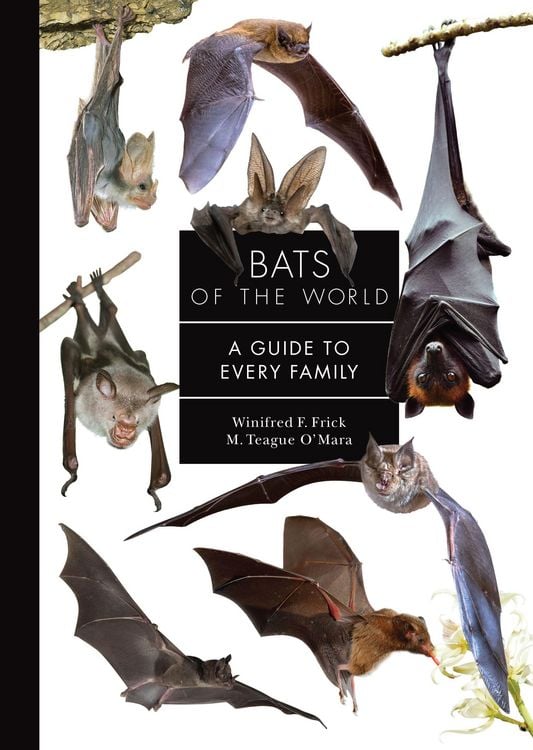 Produktbild: Bats of the World