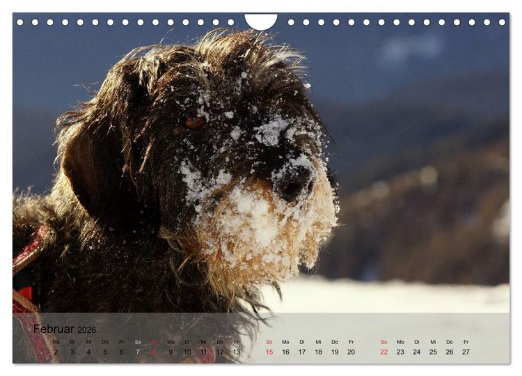 Produktbild: Liebenswerte Clowns (Wandkalender 2026 DIN A4 quer), CALVENDO Monatskalender