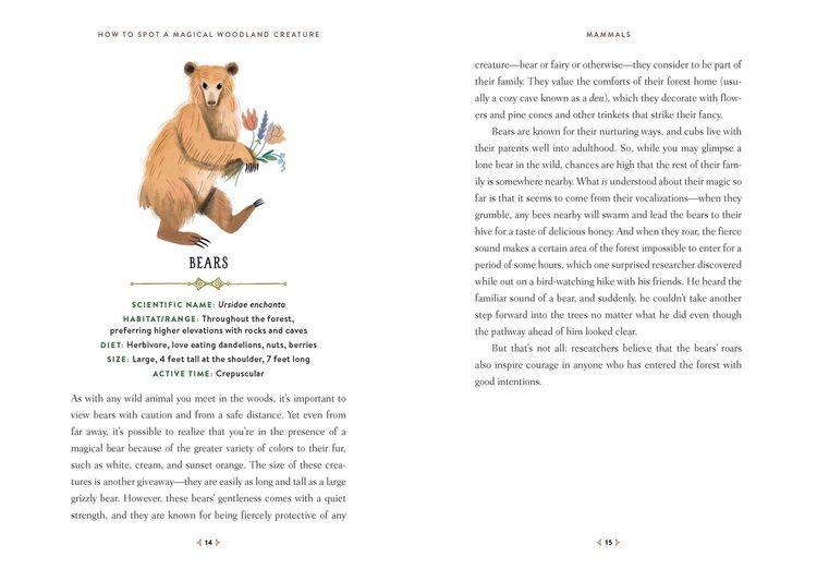 Produktbild: How to Spot a Magical Woodland Creature