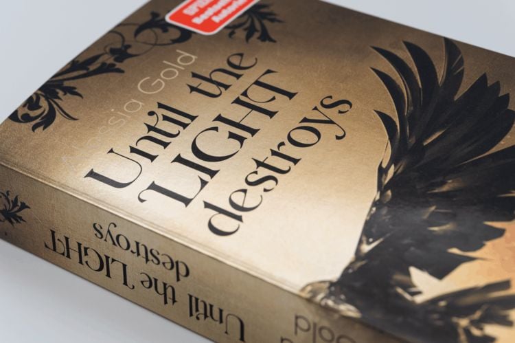 Produktbild: Until the Light destroys