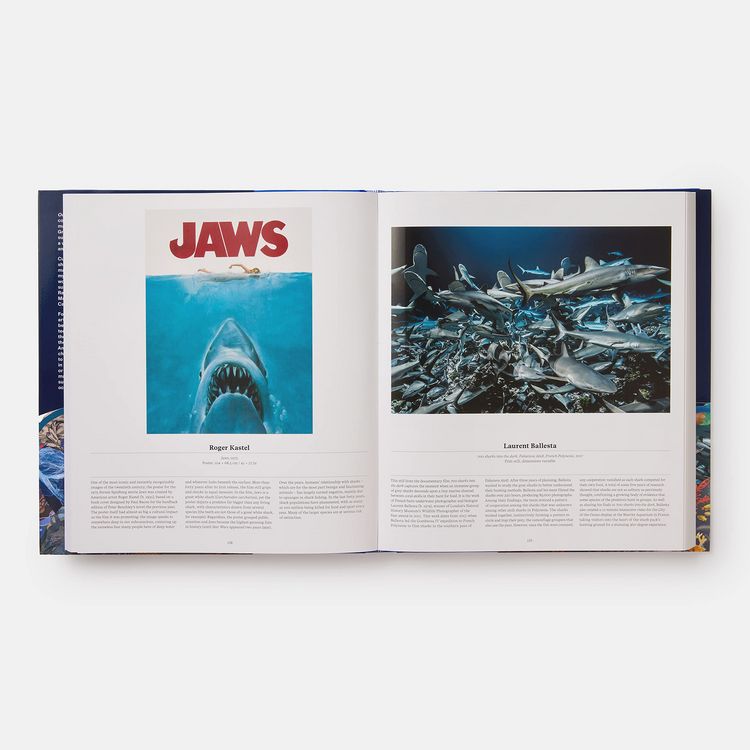 Produktbild: Ocean, Exploring the Marine World