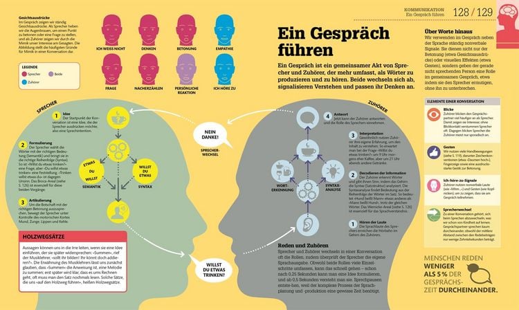 Produktbild: #dkinfografik. Das menschliche Gehirn und wie es funktioniert