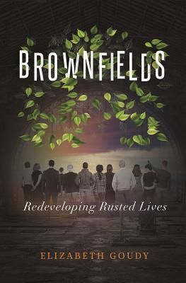 Produktbild: Brownfields