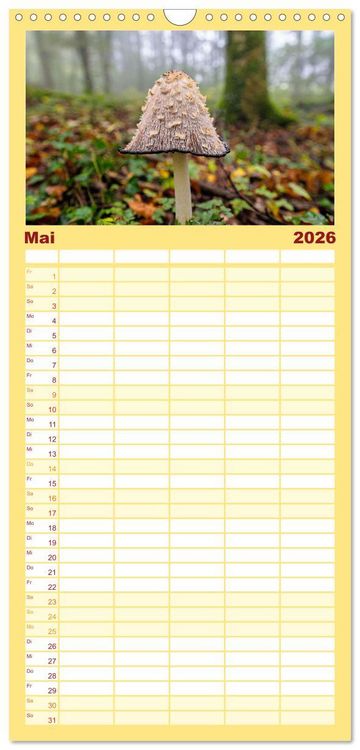 Produktbild: Familienplaner 2026 - Fantastische Pilzwelten mit 5 Spalten (Wandkalender, 21 x 45 cm) CALVENDO