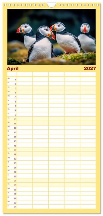 Produktbild: Familienplaner 2027 - Tieftaucher Papageitaucher mit 5 Spalten (Wandkalender, 21 x 45 cm) CALVENDO